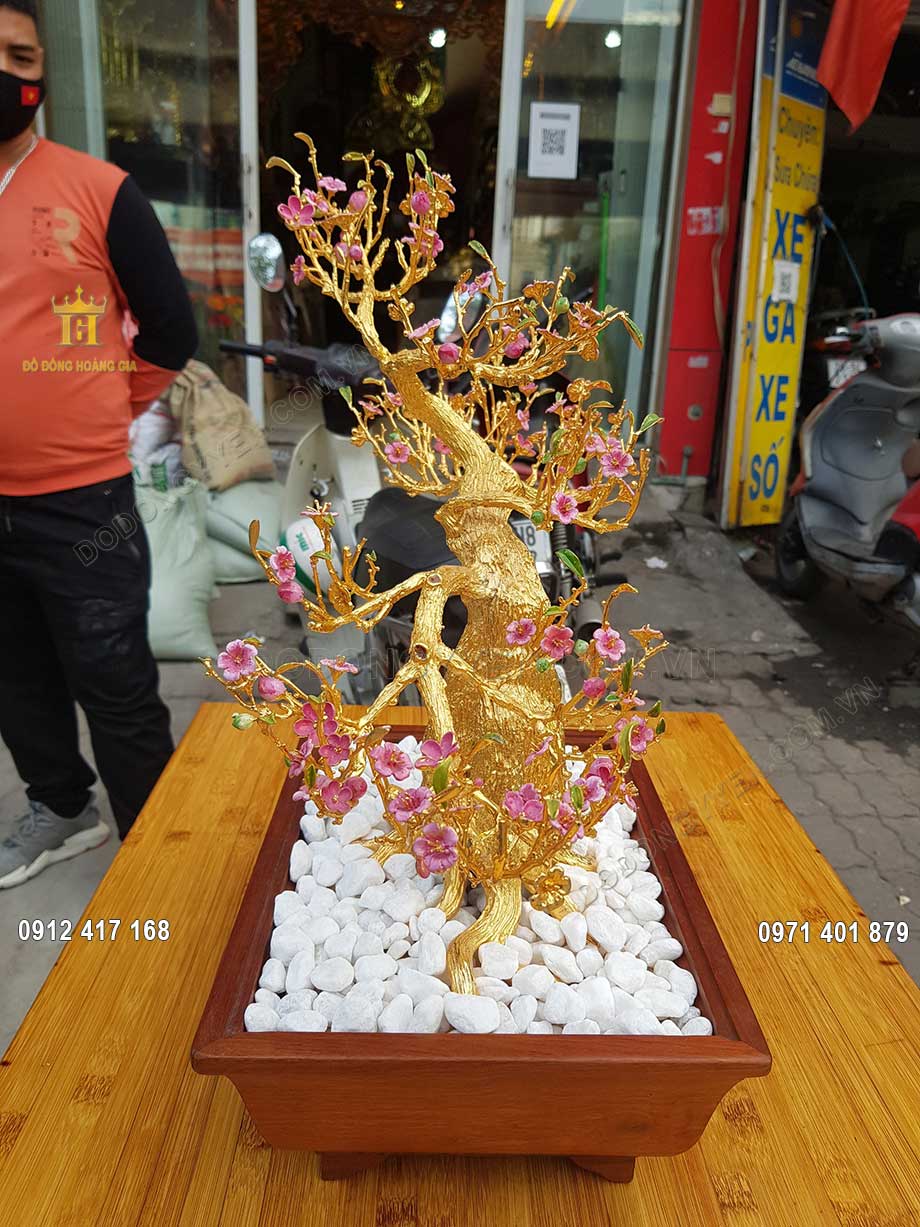 Hoa đ&agrave;o đậm m&agrave;u, kh&ocirc;ng qu&aacute; sẫm, c&aacute;nh hoa k&eacute;p tr&agrave;n đầy sức sống